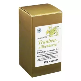 TRAUBENSILBERKERZE Kapseln, 120 tk