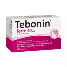 TEBONIN forte 40 mg õhukese polümeerikattega tabletid, 120 tk