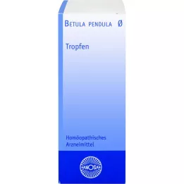BETULA PENDULA Hanosan ematinktuur, 20 ml