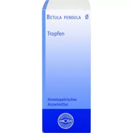 BETULA PENDULA Hanosan ematinktuur, 50 ml