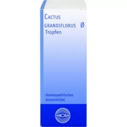 CACTUS GRANDIFLORUS Hanosan ematinktuur, 20 ml