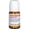 Phytolacca D10, 80 tk