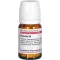 PROPOLIS D 4 tabletti, 80 tk