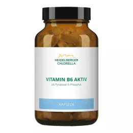 VITAMIN B6 KAPSLID, 120 tk