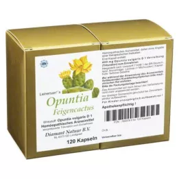 OPUNTIA FEIGENCACTUS Kapseln, 120 tk