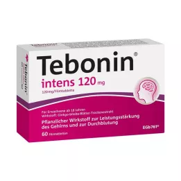 TEBONIN intens 120 mg õhukese polümeerikattega tabletid, 60 tk