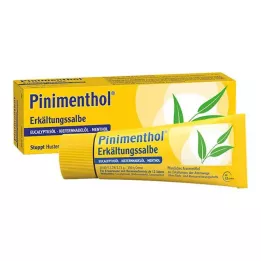 PINIMENTHOL Külma salv Eucal./mänd./Ment., 50 g