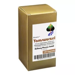 YAMSWURZEL Kapseln, 120 tk