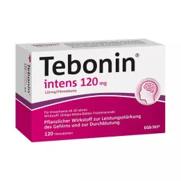 TEBONIN intens 120 mg õhukese polümeerikattega tabletid, 120 tk