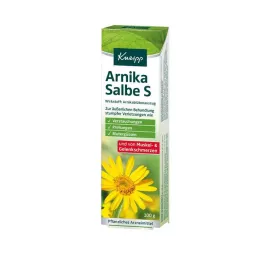 KNEIPP Arnikasalv S, 100 g