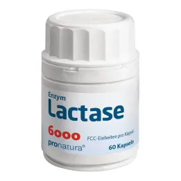 Lactase 6000 FCC kapslid, 60 tk