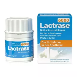 LACTRASE 6000 FCC kapslit, 60 tk