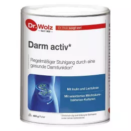 DARM ACTIV Dr.Wolzi pulber, 400 g