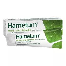 HAMETUM Haava- ja paranemissalv, 25 g