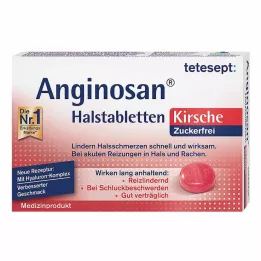 TETESEPT Anginosan kurgupastillid suhkruvaba kirss, 20 tk