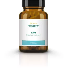 SAM S-ADENOSYLMETHIONIN kapslid, 60 tk