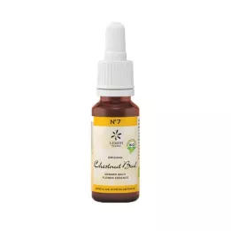 Bach Blossom Ei. 7 Chestnut Bud Bio, 20 ml