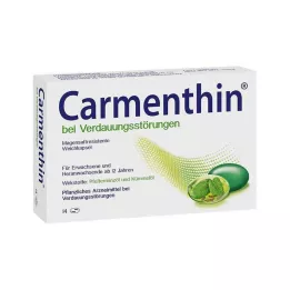 CARMENTHIN seedehäirete korral msr.Pehmed kapslid, 14 tk