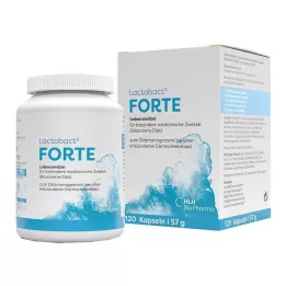 LACTOBACT Forte gastroresistentsed kapslid, 120 tk