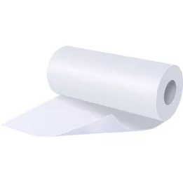 Dermaplast Meditsiinilise elastse kinnitamise assotsiatsioon 10 cm x 2 m, 1 tk