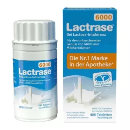 LACTRASE 6000 FCC Tbl.Click jaoturi täitepakk, 480 tk