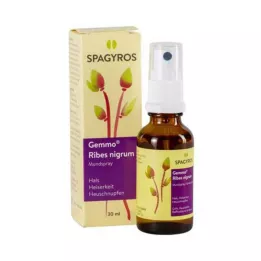 GEMMO Ribes nigrum suusprei, 30 ml