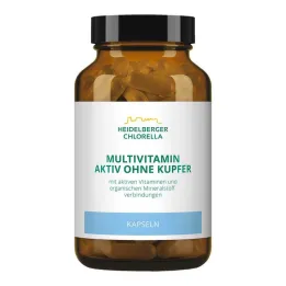 Multivitamin Active ilma vaskkapsliteta, 120 tk