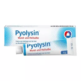PYOLYSIN Haava- ja paranemissalv, 6 g