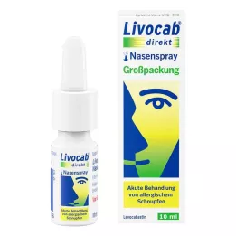 LIVOCAB otsene ninasprei, 10 ml