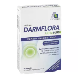 DARMFLORA Aktiv Plus 100 miljardit bakterit + 7 vitamiini, 40 tk