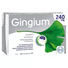 GINGIUM 240 mg õhukese polümeerikattega tabletid, 120 tk
