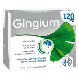 GINGIUM 120 mg õhukese polümeerikattega tabletid, 120 tk
