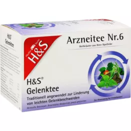 H&amp;juhtiv teefiltri kott, 20x2,0 g