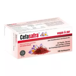 CEFASAFRA Kõvakapslid, 100 tk