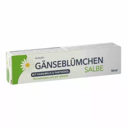 GÄNSEBLÜMCHEN Nõiapähkliga salv & Pantenool, 50 ml