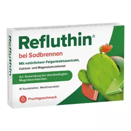 REFLUTHIN kõrvetiste vastu närimistabletid puuvili, 16 tk
