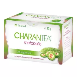 CHARANTEA metaboolsed sidruni/mündi filtrikotid, 20 tk