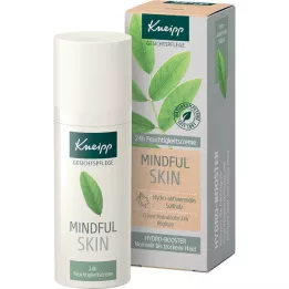 KNEIPP Mõistlik nahk 24h niisutaja, 50 ml