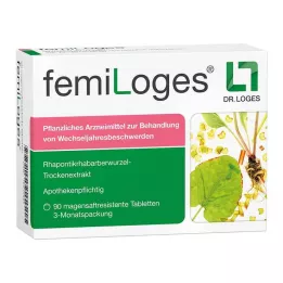 FEMILOGES gastroresistentsed tabletid, 90 tk