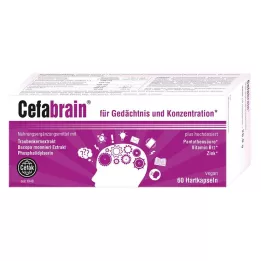 CEFABRAIN Kõvakapslid, 60 tk