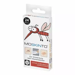 MOSKINTO Kipsist riputuskast Euro auk, 24 tk