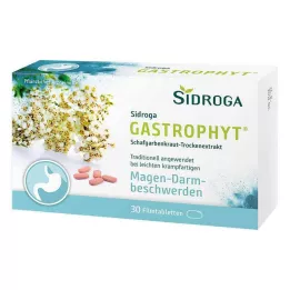 SIDROGA GastroPhyt 250 mg õhukese polümeerikattega tabletid, 30 tk