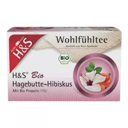 H&amp;S orgaanilised kibuvitsa-hibiski filtrikotid, 20X3,0 g