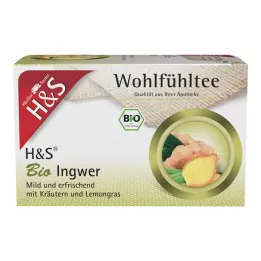 H&S Organic Ingveri filtrikotid, 20X2 g