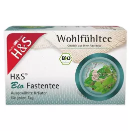 H&amp;S Organic Fasting Tee filtrikotid, 20X1,5 g
