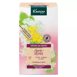 Kneipp Taimne tee pärast söömist, 20 tk