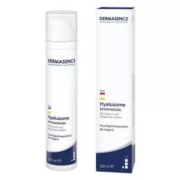 DERMASENCE Hyalusome puhastusgeel, 100 ml