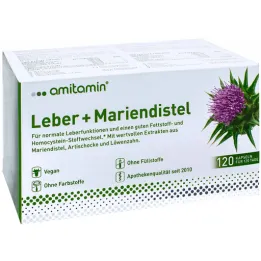 Amitamiin piimaohakas + maksakapslid (120 tk)