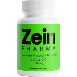 CURCUMIN PHYTOSOME Komplekskapslid ZeinPharma, 60 tk
