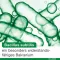 Bioticloges subtilis kapslid, 30 tk